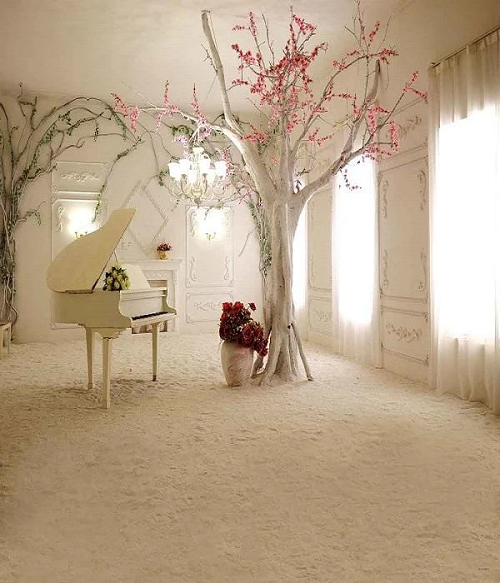 Kate Piano Baum Hintergrund paraKate Piano Baum Hintergrund para  