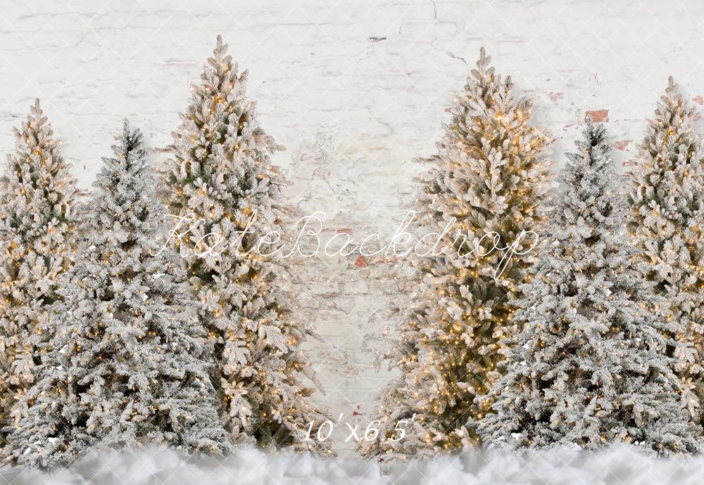 Kate Weihnachten Verschneiter Garten Wand Hintergrund für Fotografie