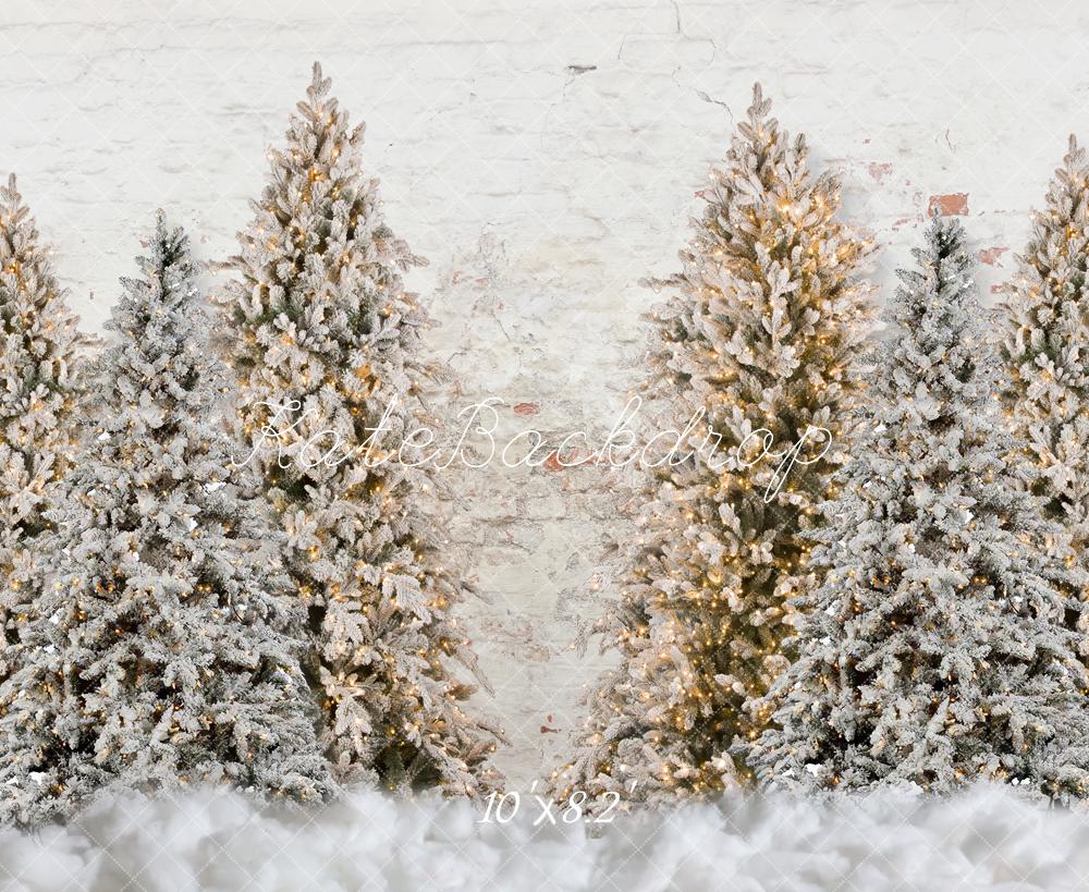 Kate Weihnachten Verschneiter Garten Wand Hintergrund für Fotografie