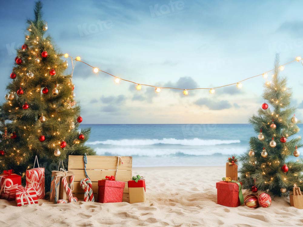 Kate Weihnachten Strand Meer Hintergrund von Chain Photography