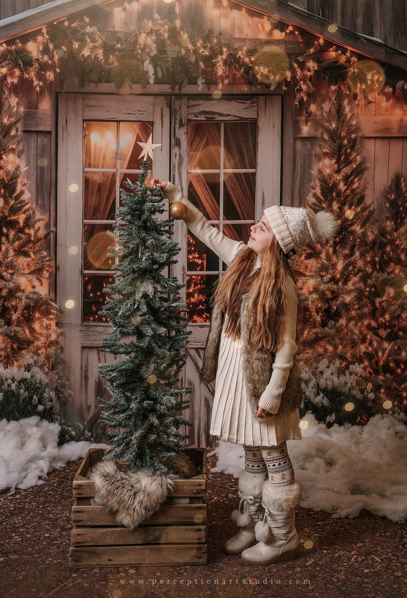 Kate Weihnachten Scheune mit Lichtern und Weihnachtsbaum Hintergrund entworfen von Emetselch