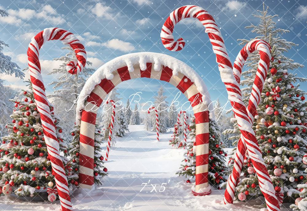 Kate Winter Weihnachten Outdoor Wald Schnee Candy Bogen Hintergrund entworfen von Chain Photography