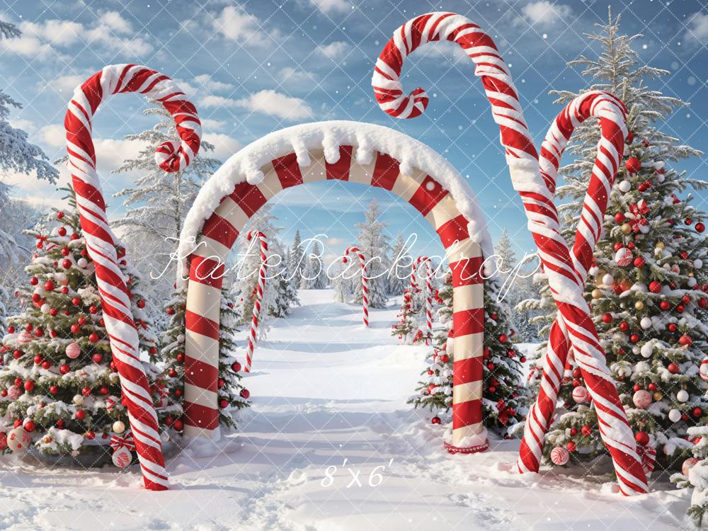 Kate Winter Weihnachten Outdoor Wald Schnee Candy Bogen Hintergrund entworfen von Chain Photography