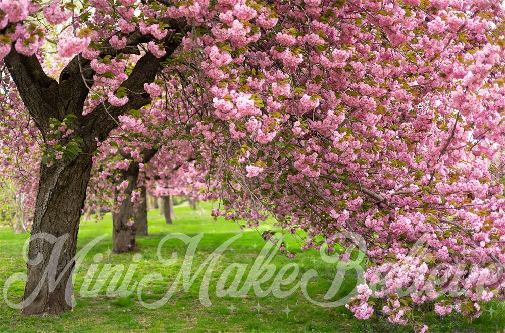 Kate Sommer Outdoor Rosa Kirschblütenbaum Grüne Wiese Hintergrund entworfen von Mini MakeBelieve