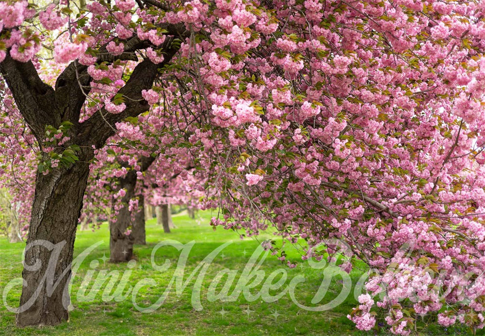 Kate Sommer Outdoor Rosa Kirschblütenbaum Grüne Wiese Hintergrund entworfen von Mini MakeBelieve