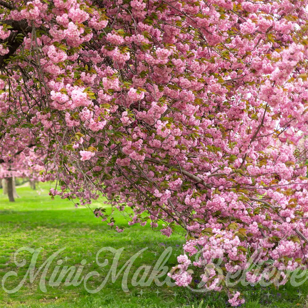 Kate Sommer Outdoor Rosa Kirschblütenbaum Grüne Wiese Hintergrund entworfen von Mini MakeBelieve