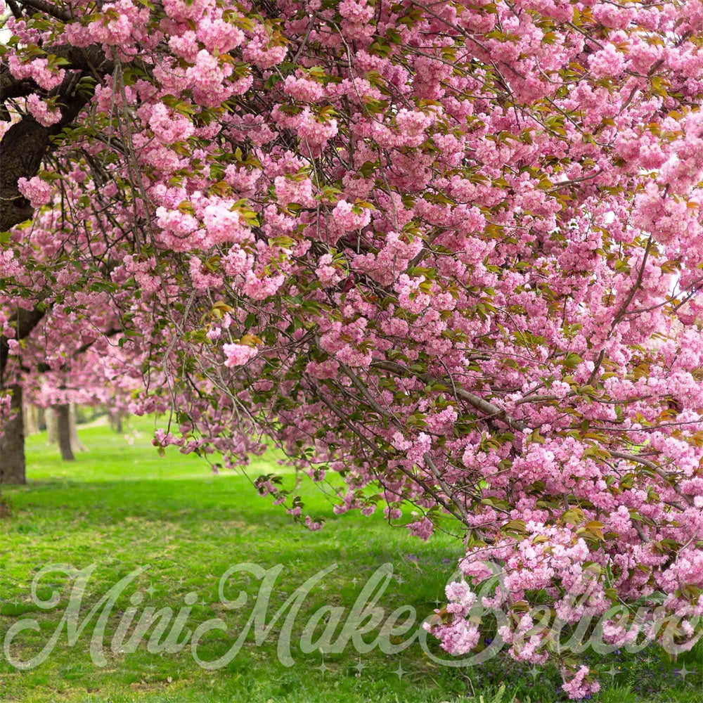 Kate Sommer Outdoor Rosa Kirschblütenbaum Grüne Wiese Hintergrund entworfen von Mini MakeBelieve