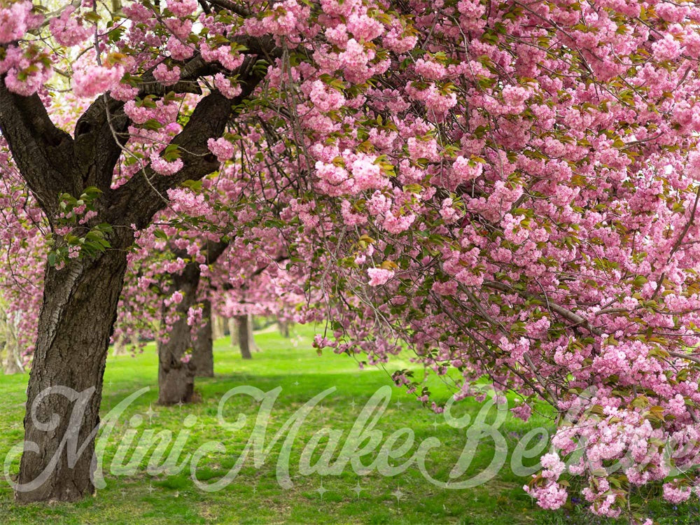 Kate Sommer Outdoor Rosa Kirschblütenbaum Grüne Wiese Hintergrund entworfen von Mini MakeBelieve