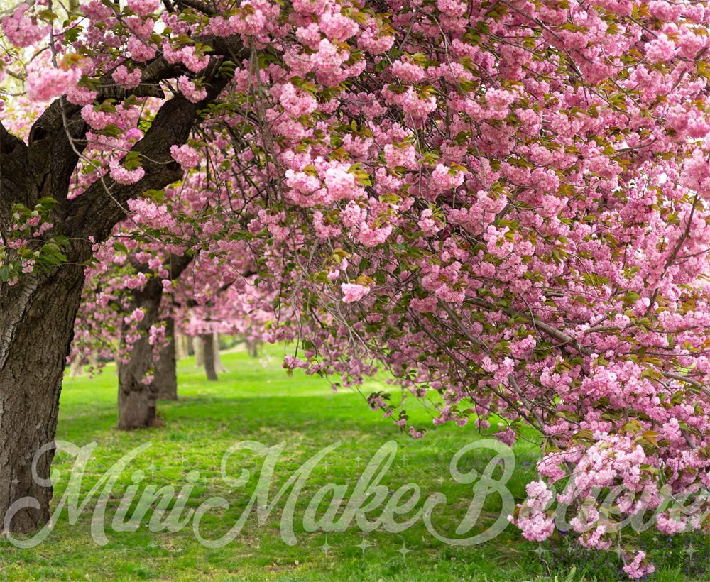 Kate Sommer Outdoor Rosa Kirschblütenbaum Grüne Wiese Hintergrund entworfen von Mini MakeBelieve