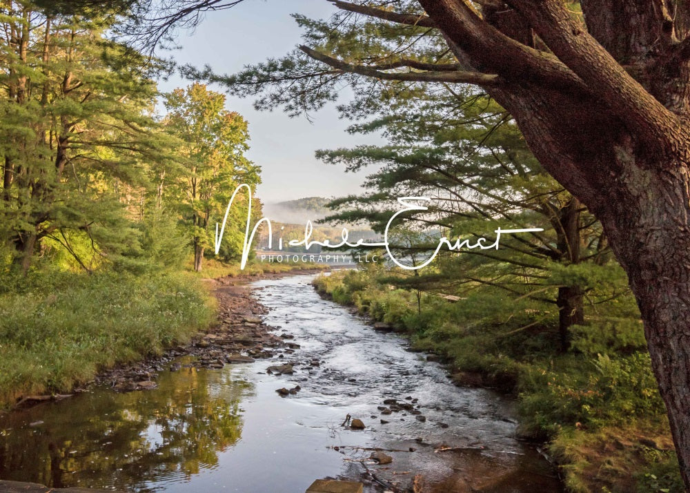 Kate Sommer Outdoor Wald See Wiese Berg Hintergrund entworfen von Michele Ernst Photography