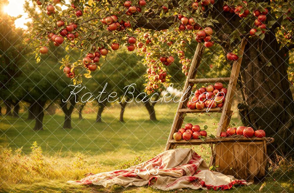 Kate Herbst Outdoor Wald Roter Apfel Obstgarten Hintergrund Entworfen von Emetselch