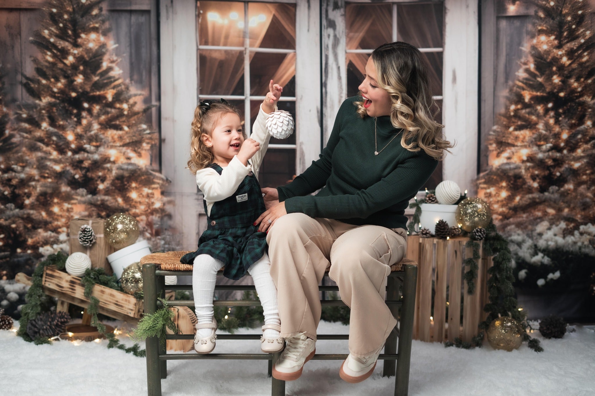 Kate Weihnachten-Scheune mit Lichtern und Weihnachtsbaum als Hintergrund von Emetselch