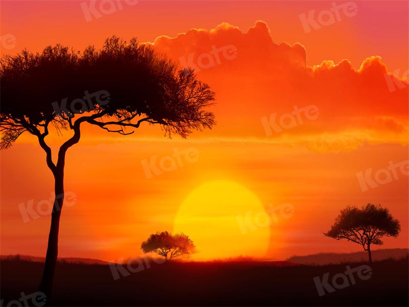 Kate Landschaft Hintergrund Sonnenuntergang Baum für Fotografie - Kate Backdrop.de