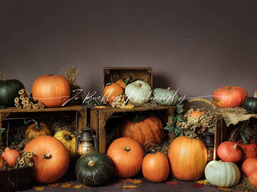 Kate Kürbis Herbst Hintergrund für Fotografie von Jo Buckley Photography - Kate Backdrop.de