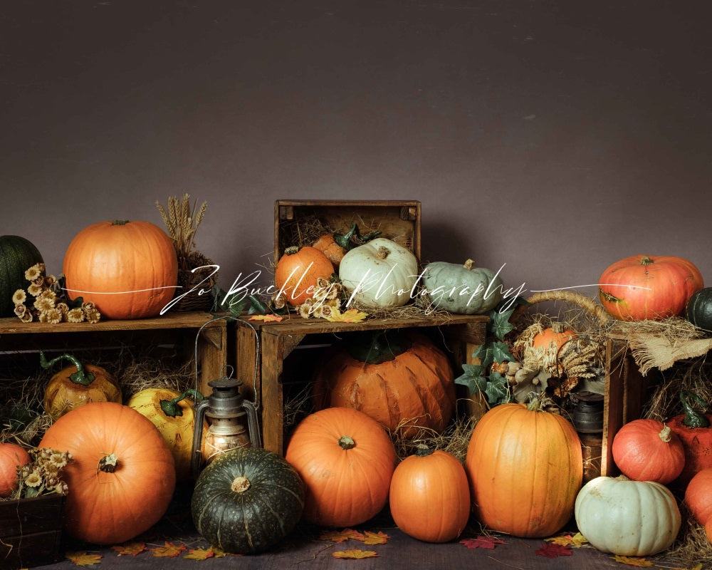 Kate Kürbis Herbst Hintergrund für Fotografie von Jo Buckley Photography - Kate Backdrop.de