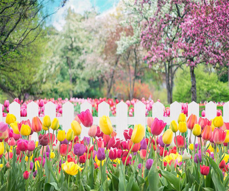 Kate Frühling Tulpe Blume Garten Kulisse für Fotografie