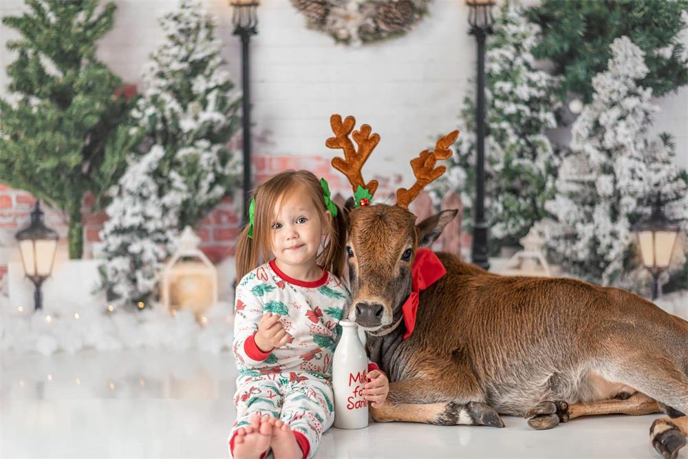 Kate Weihnachten Hintergrund Weihnachten Garten mit Lichtern Entworfen von Emetselch - Kate Backdrop.de