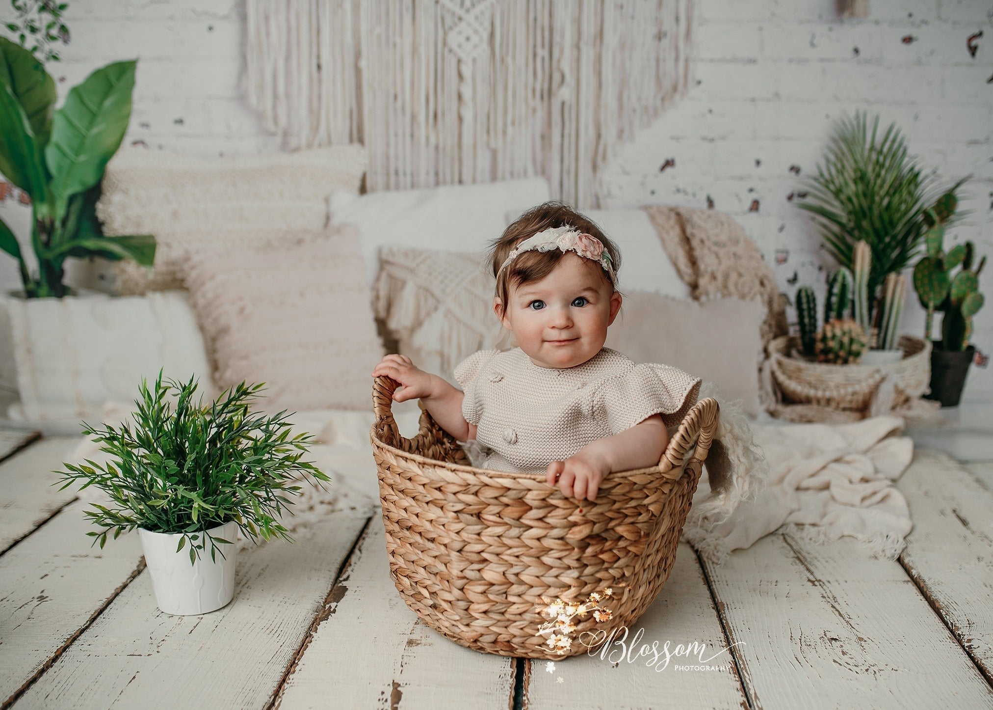 Kate Boho Macrame Bodenkissen mit Pflanzen Hintergrund Entworfen von Mandy Ringe Photography - Kate Backdrop.de