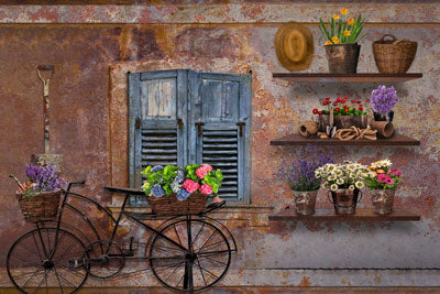 Kate Frühling Fenster Blumen Urlaub Fotografie  Hintergrund - Kate Backdrop.de