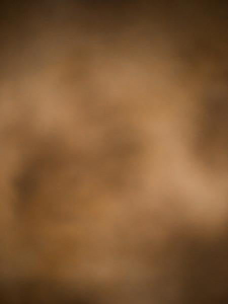 Katebackdrop：Kate Blurry Brown Backdrop Photography Abstract Background