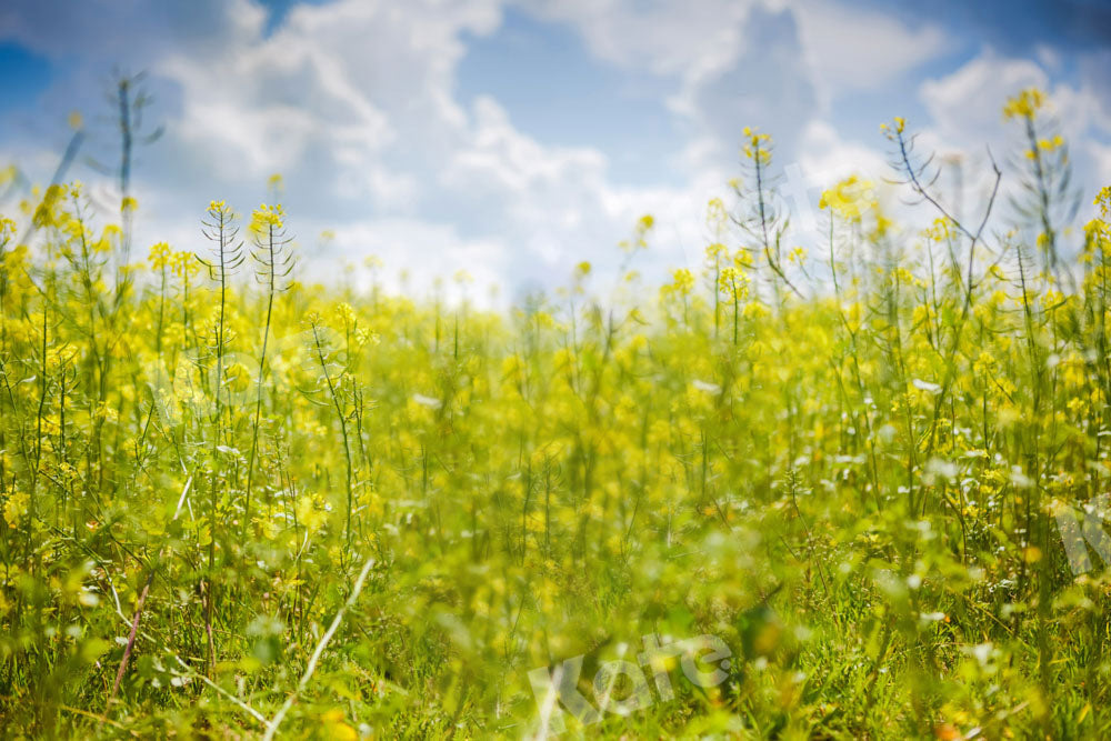 Kate Frühling Himmel Wolken Blumen Hintergrund von Emetselch - Kate Backdrop.de