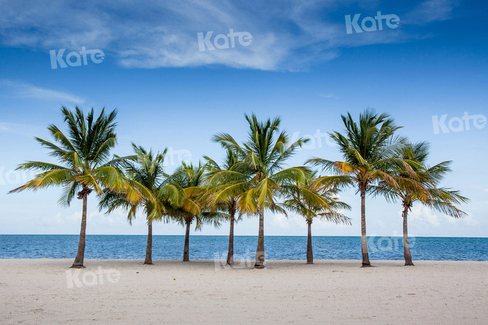 Kate Sommer Strand Hintergrund Kokosnussbaum von Chain Photography - Kate Backdrop.de