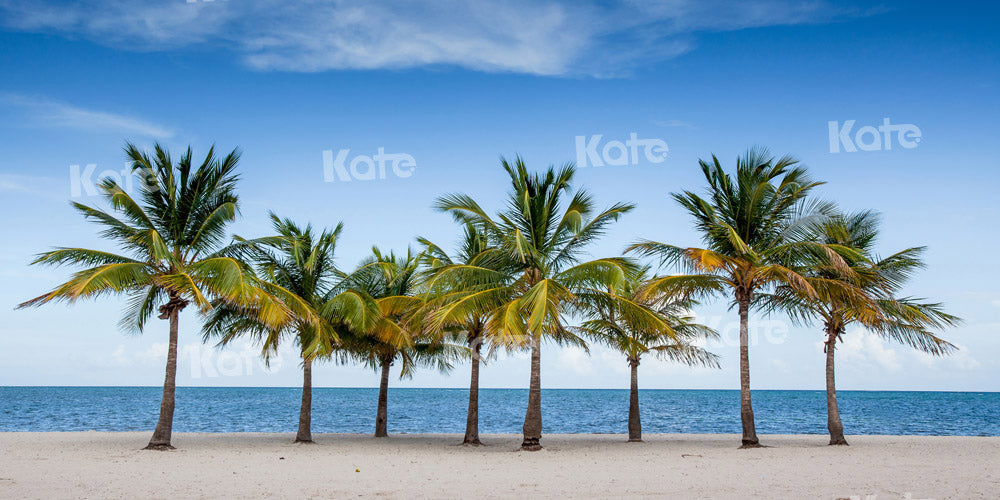 Kate Sommer Strand Hintergrund Kokosnussbaum von Chain Photography - Kate Backdrop.de