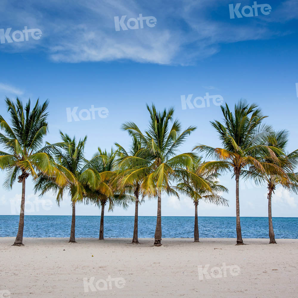 Kate Sommer Strand Hintergrund Kokosnussbaum von Chain Photography - Kate Backdrop.de