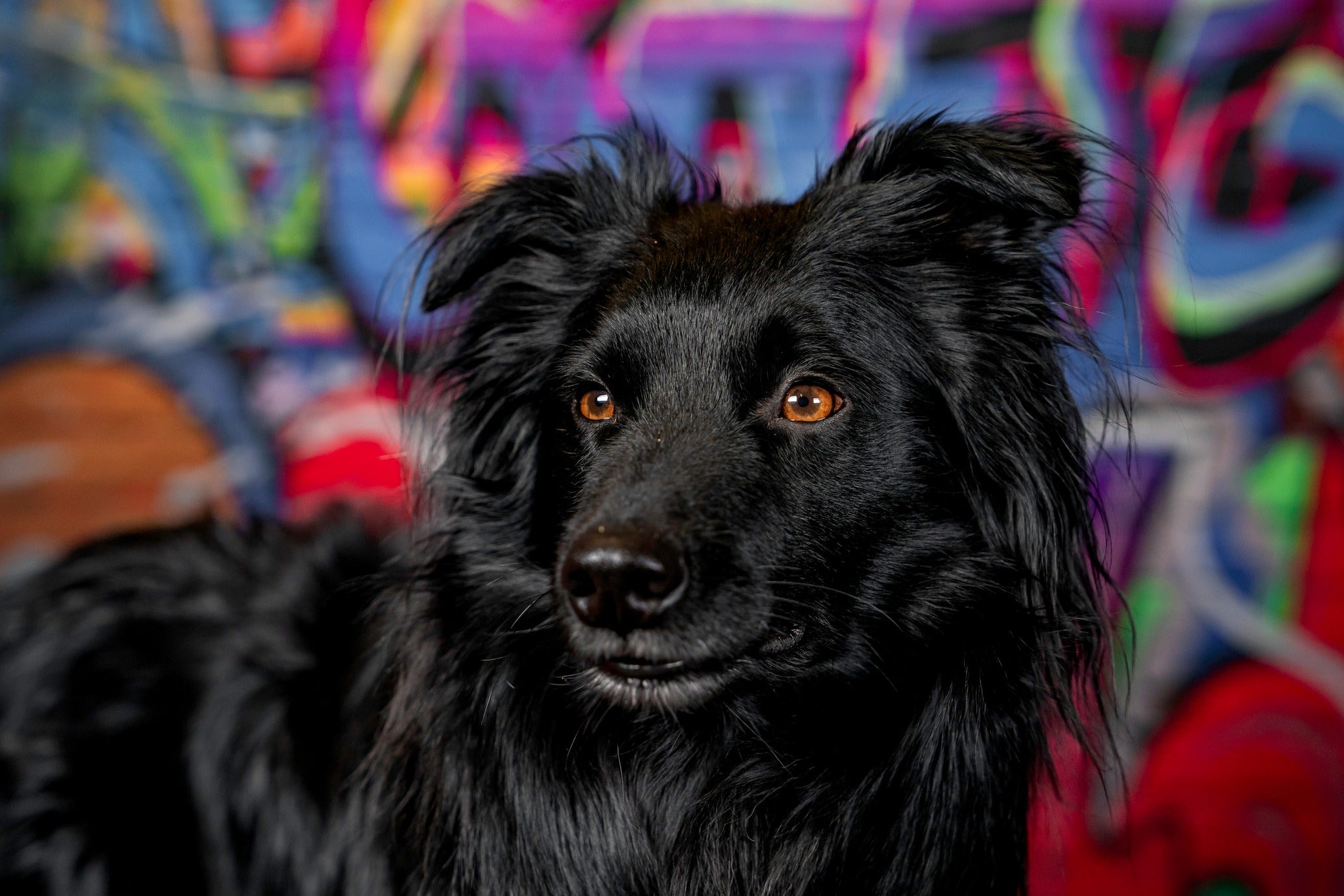 Kate Jugend Graffiti Wand grau Backsteinboden Hintergrund Kinder - Kate Backdrop.de